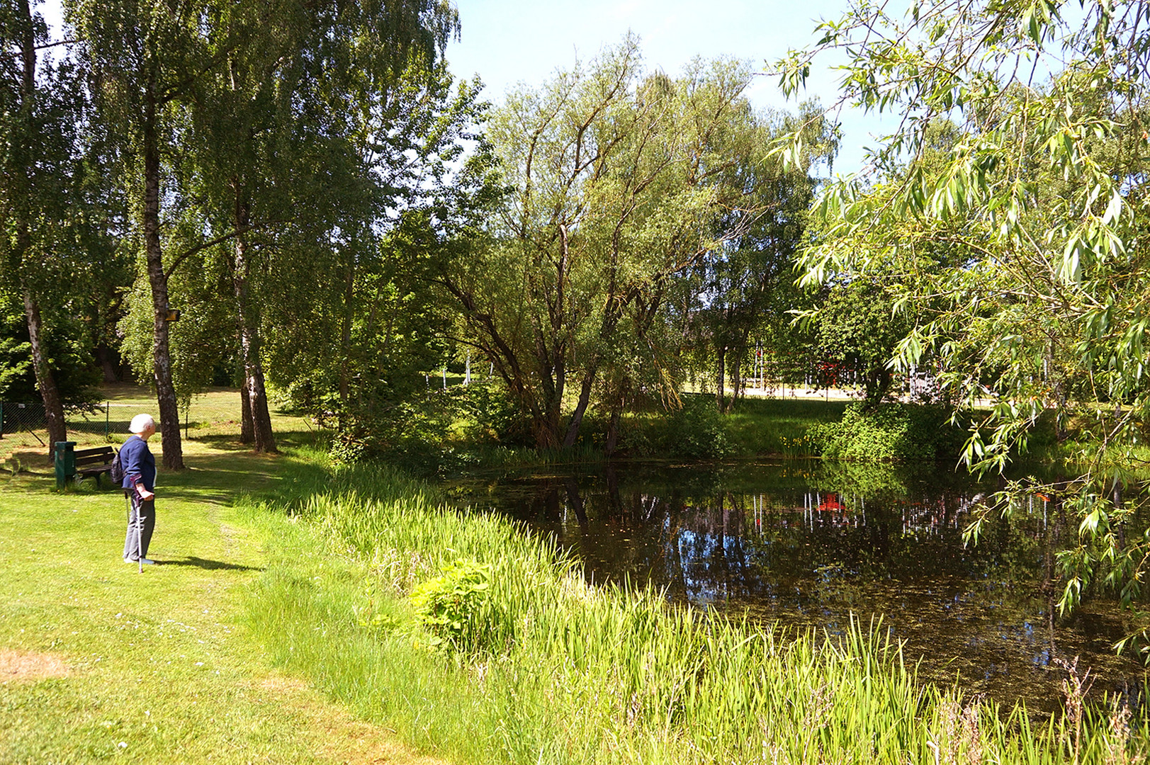 Beim Froschkonzert am Dorfteich