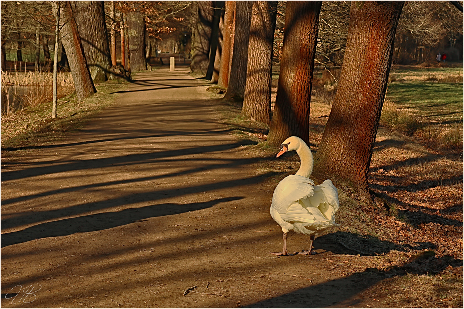 Beim Frühlingsspaziergang ....