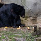 beim Frühstück