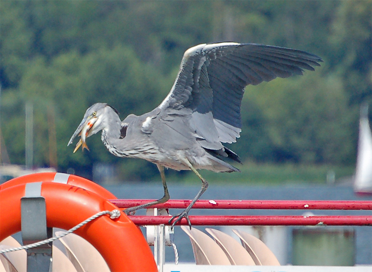 Beim Futtern