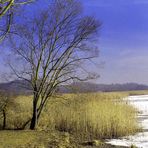 Beim Gnadensee . . . . . . . . alsoganzimsüdenderrepublik