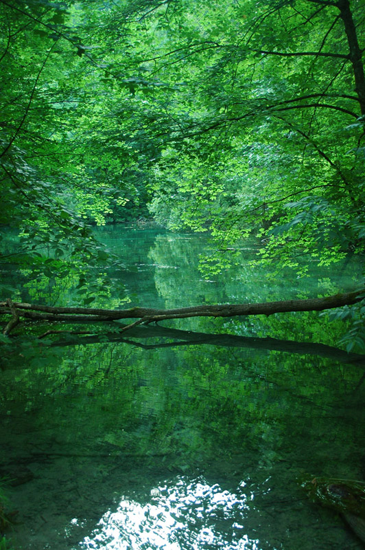 Beim Gönninger See