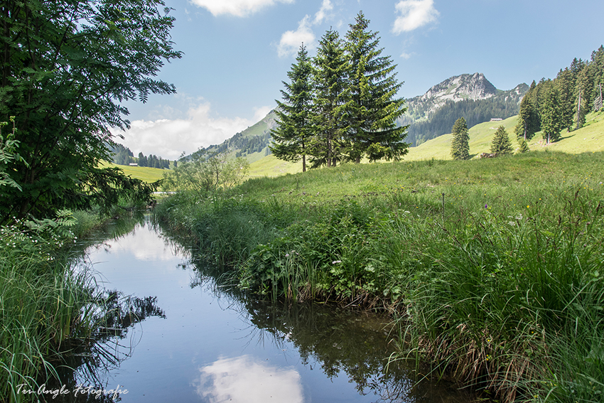 Beim Gräppelensee