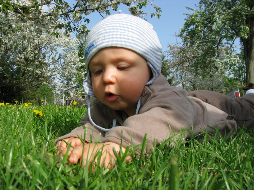 beim Gras zupfen