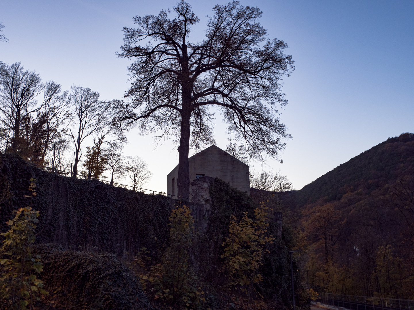 Beim Hambacher Schloss