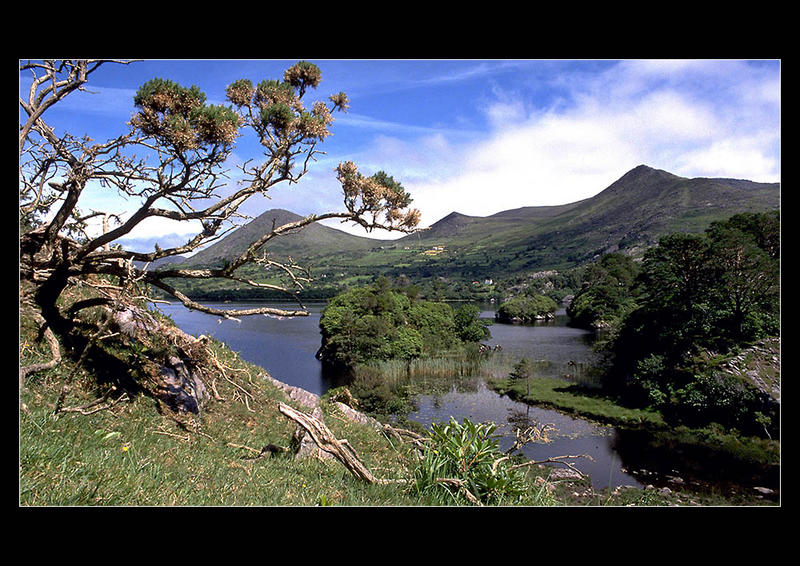 Beim Healy Pass