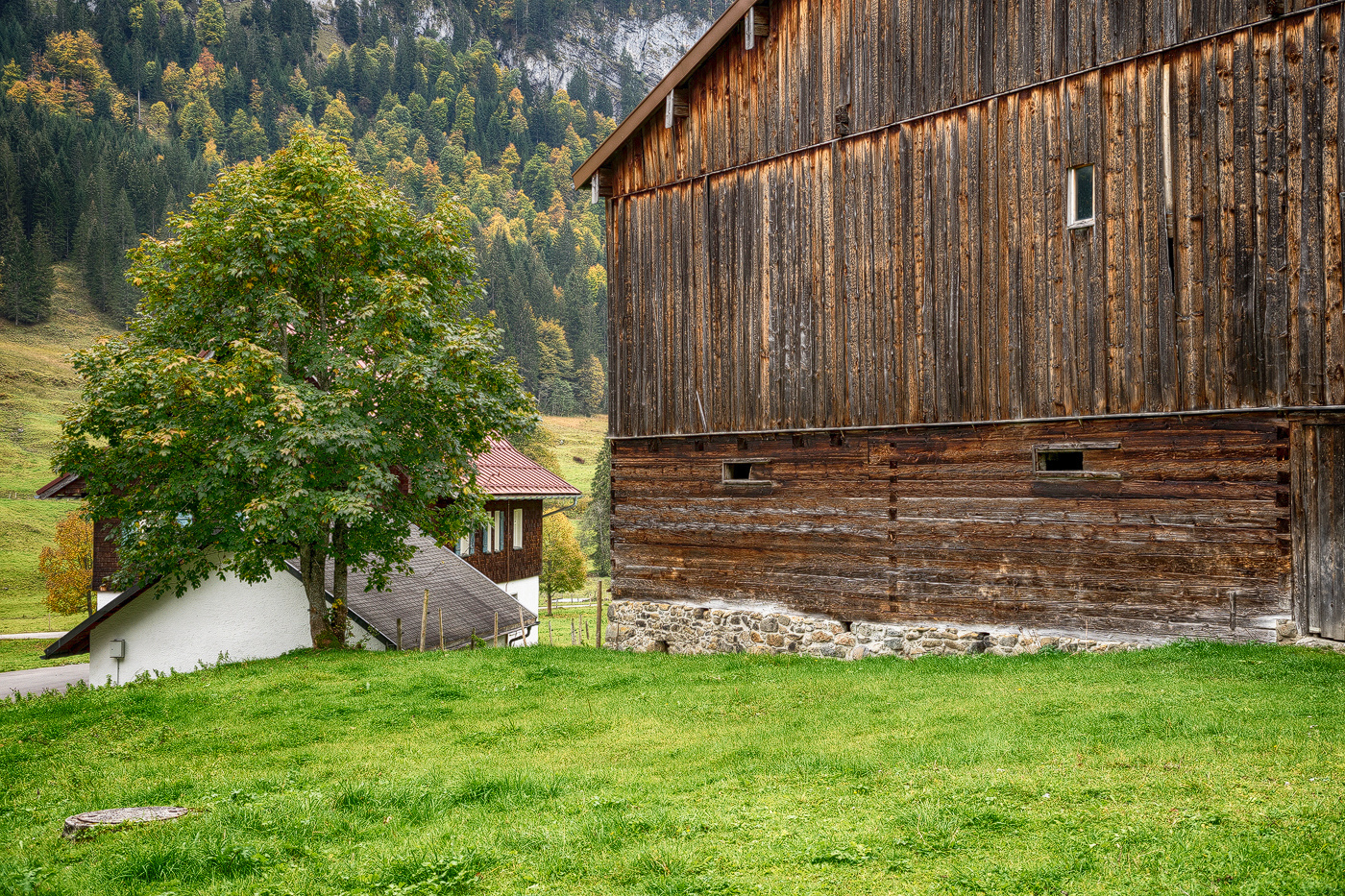 Beim Herbstspaziergang