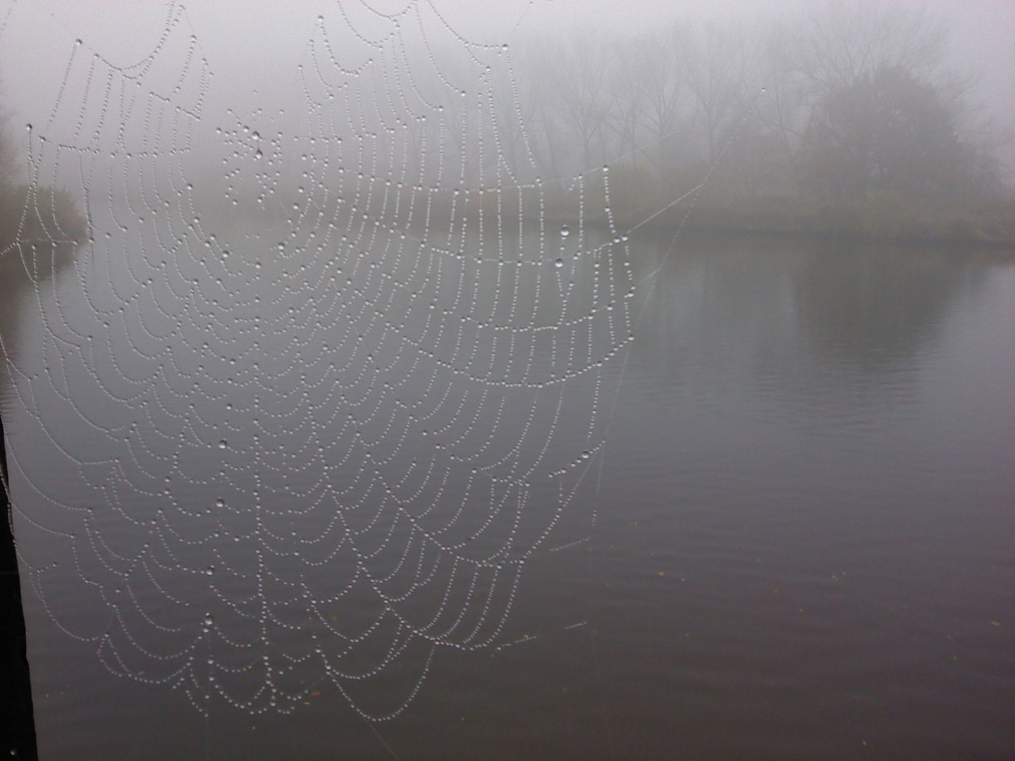 beim Herbstspaziergang entdeckt...