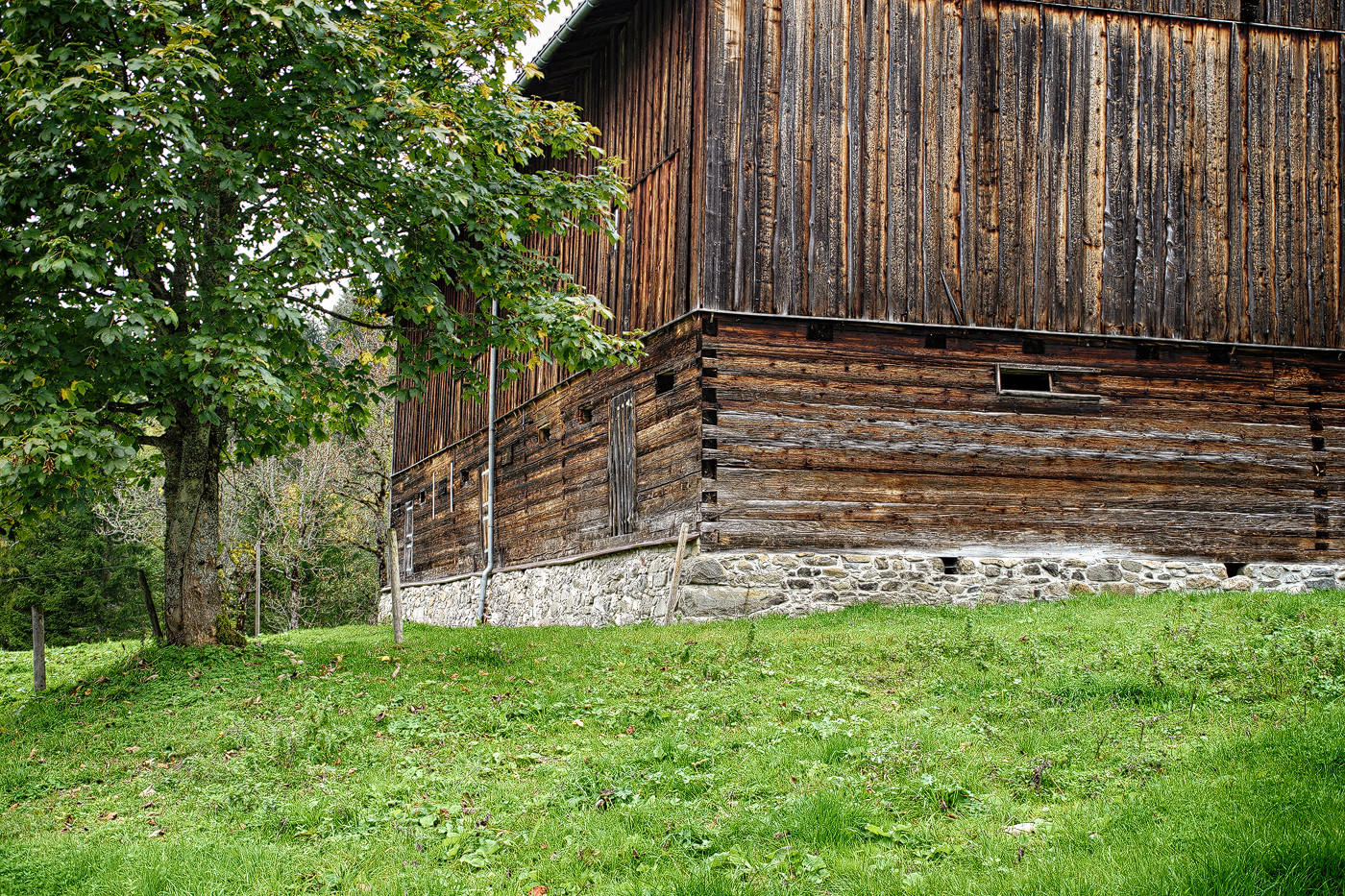 Beim Herbstspaziergang II