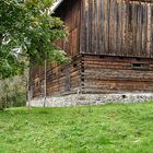 Beim Herbstspaziergang II