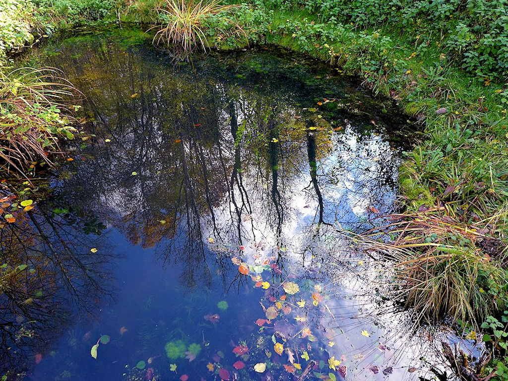 Beim Herzogenmattweiher