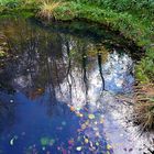 Beim Herzogenmattweiher