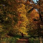 Beim heutigen Herbstspaziergang ...