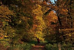 Beim heutigen Herbstspaziergang ...