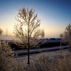 Beim heutigen Sonnenaufgang lag Heilbad Heiligenstadt noch im dichten Nebel