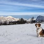 Beim heutigen Spaziergang mit Lenny