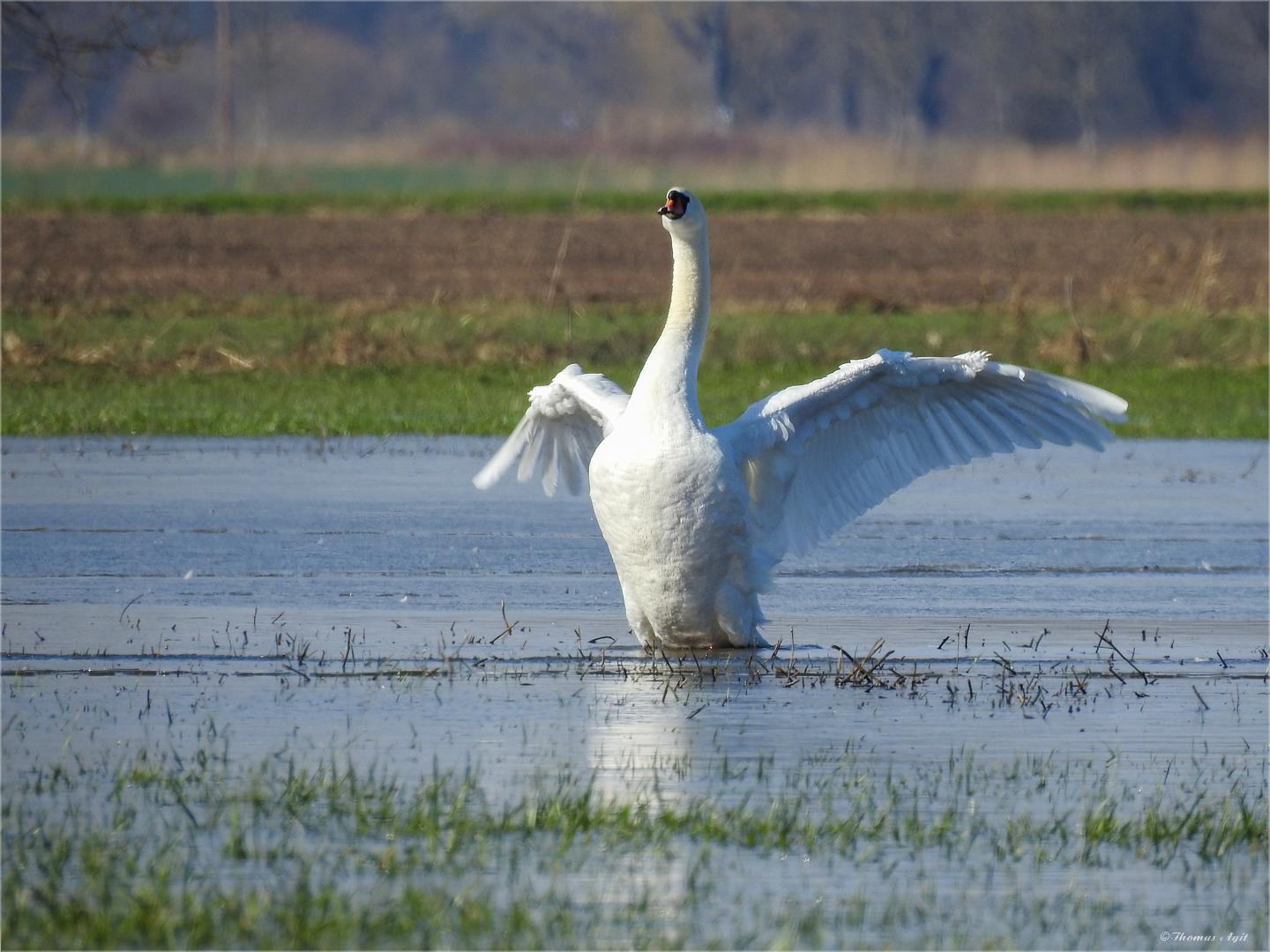 Beim Hochwasser...