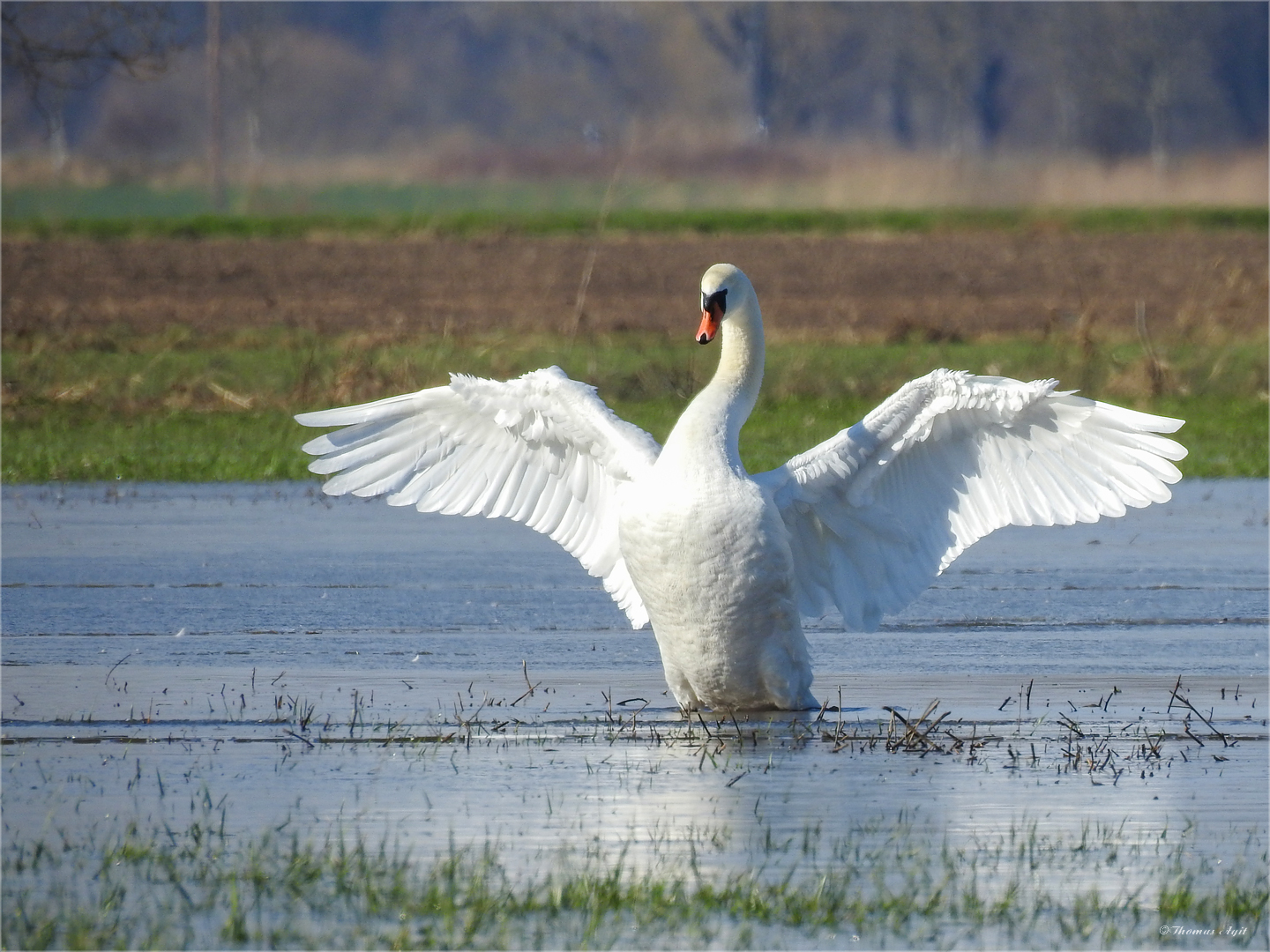 Beim Hochwasser...