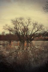 Beim Hochwasser