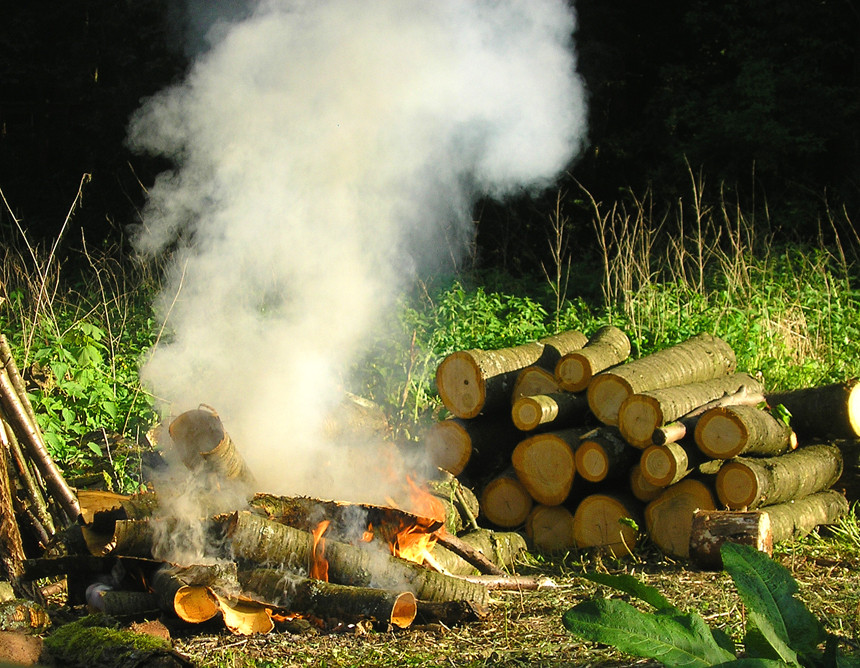 Beim Holzmachen