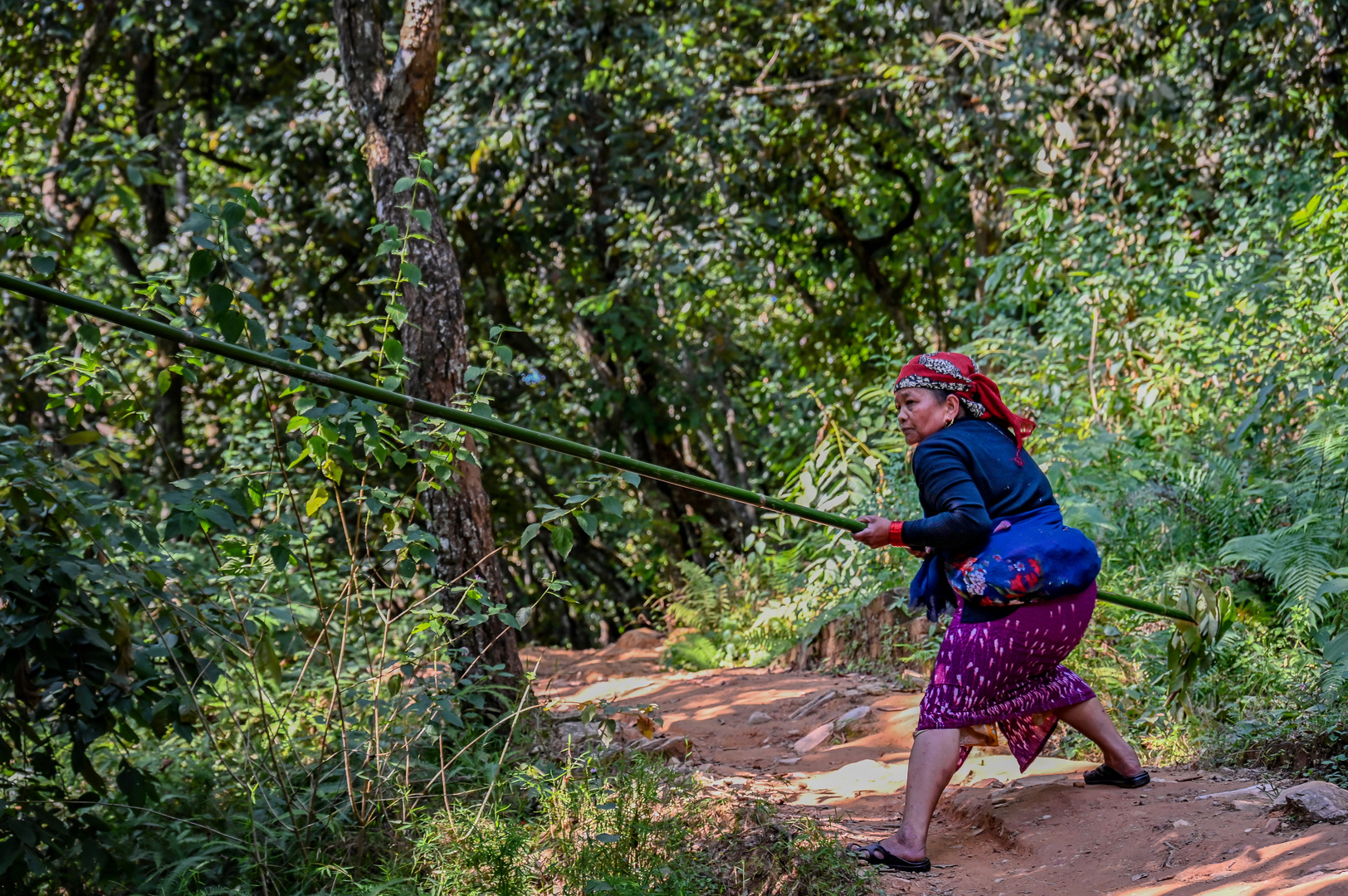 Beim Holzsammeln in Chitwan