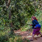Beim Holzsammeln in Chitwan