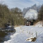 Beim HP Wildbach am Ufer der Preßnitz