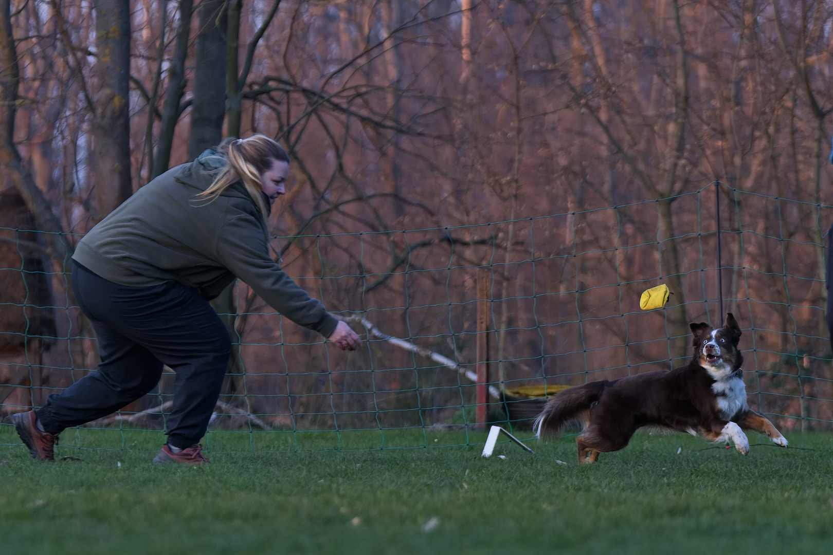 Beim Hundetraining