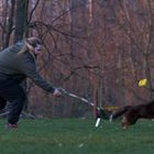 Beim Hundetraining