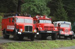 Beim Kirnitzschtlafest 2011