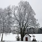 Beim Kitzinghof - Chez la ferme Kitzing