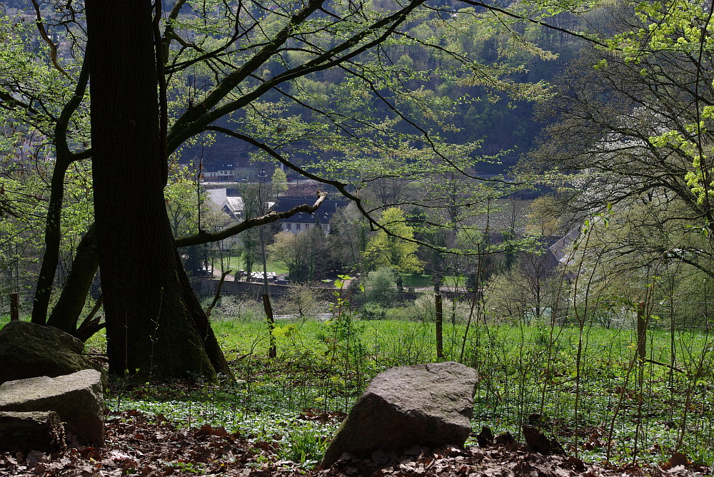 Beim Kloster