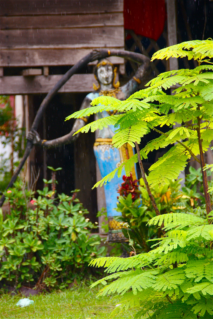 beim kloster, südlaos 2010