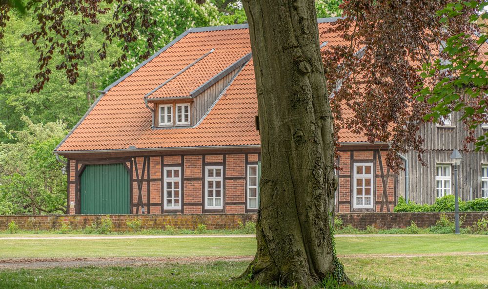 beim Kloster Wienhausen XI