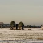 Beim Kochel am See 3