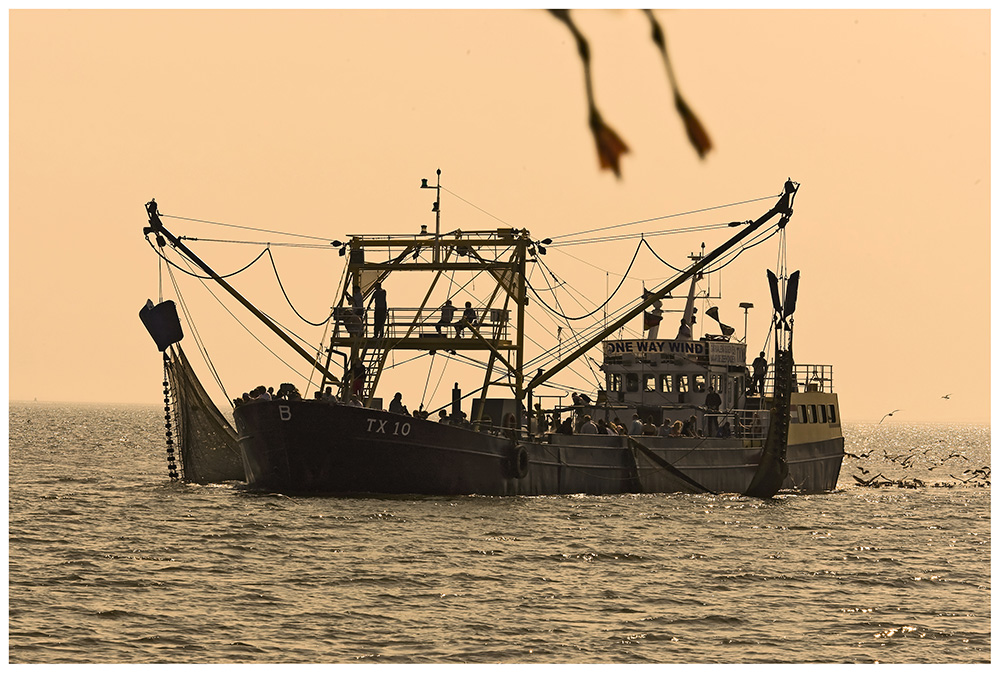 beim Krabbenfischen vor Texel