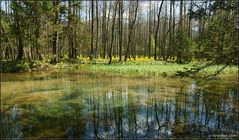 beim Kreuzteich