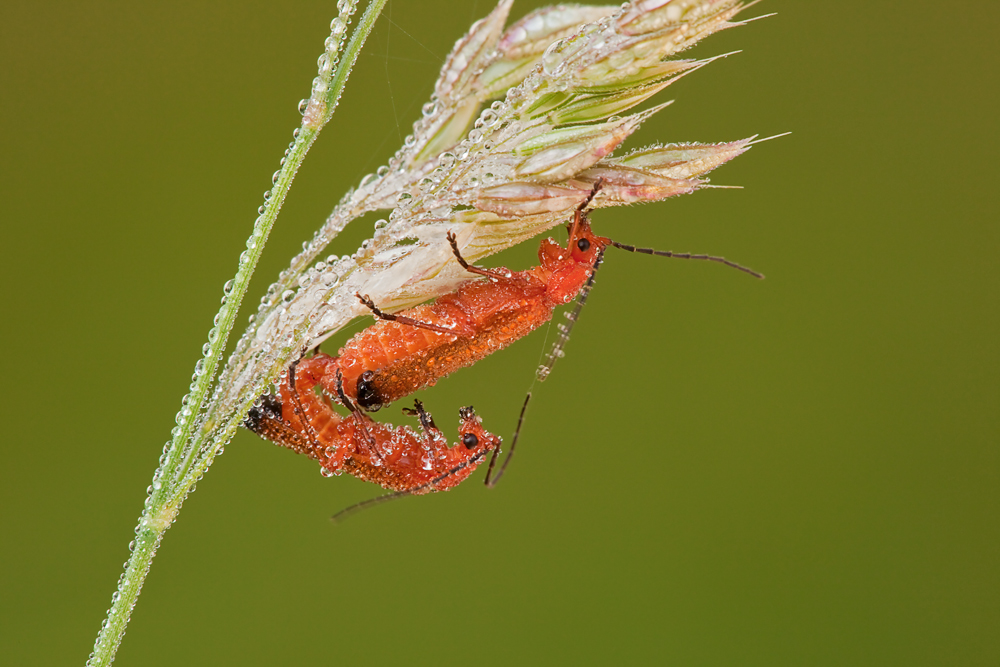 Beim kuscheln