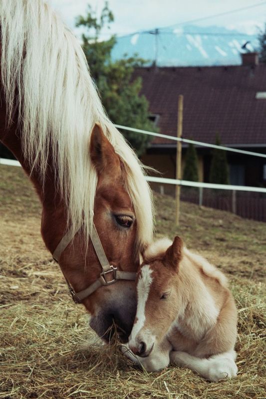 beim kuscheln ...