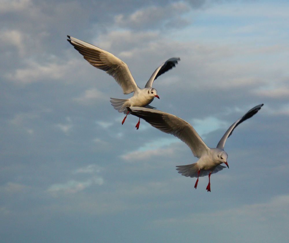 Beim Landeanflug..