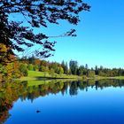 Beim Laudachsee