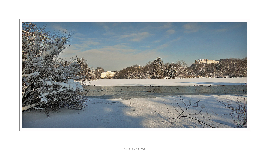 . . . beim Leopoldskroner Weiher V