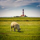 Beim Leuchtturm