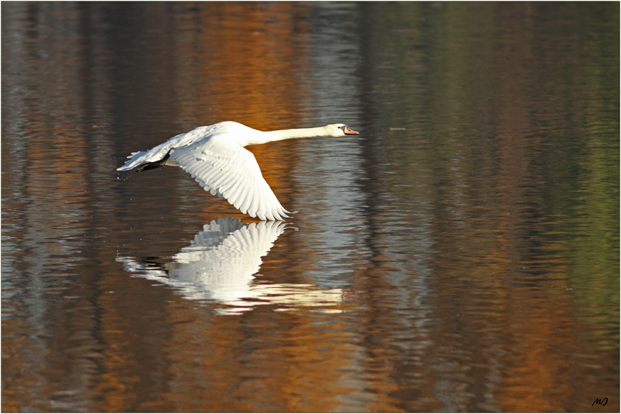 Beim morgendlichen Abfischen 3