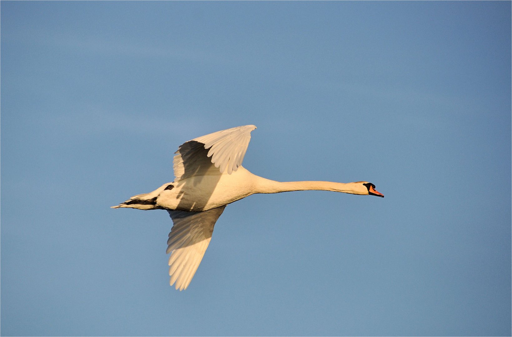 beim morgendlichen Rundflug...