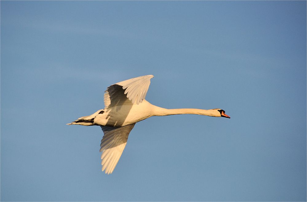 beim morgendlichen Rundflug...