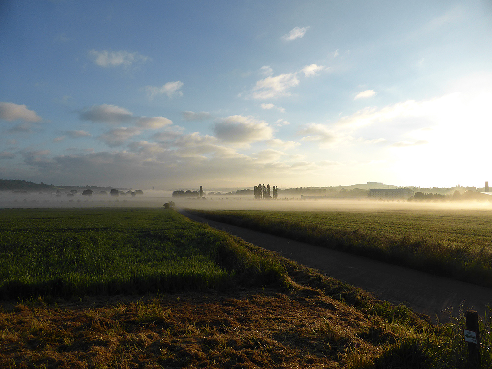 Beim Morgenspaziergang...