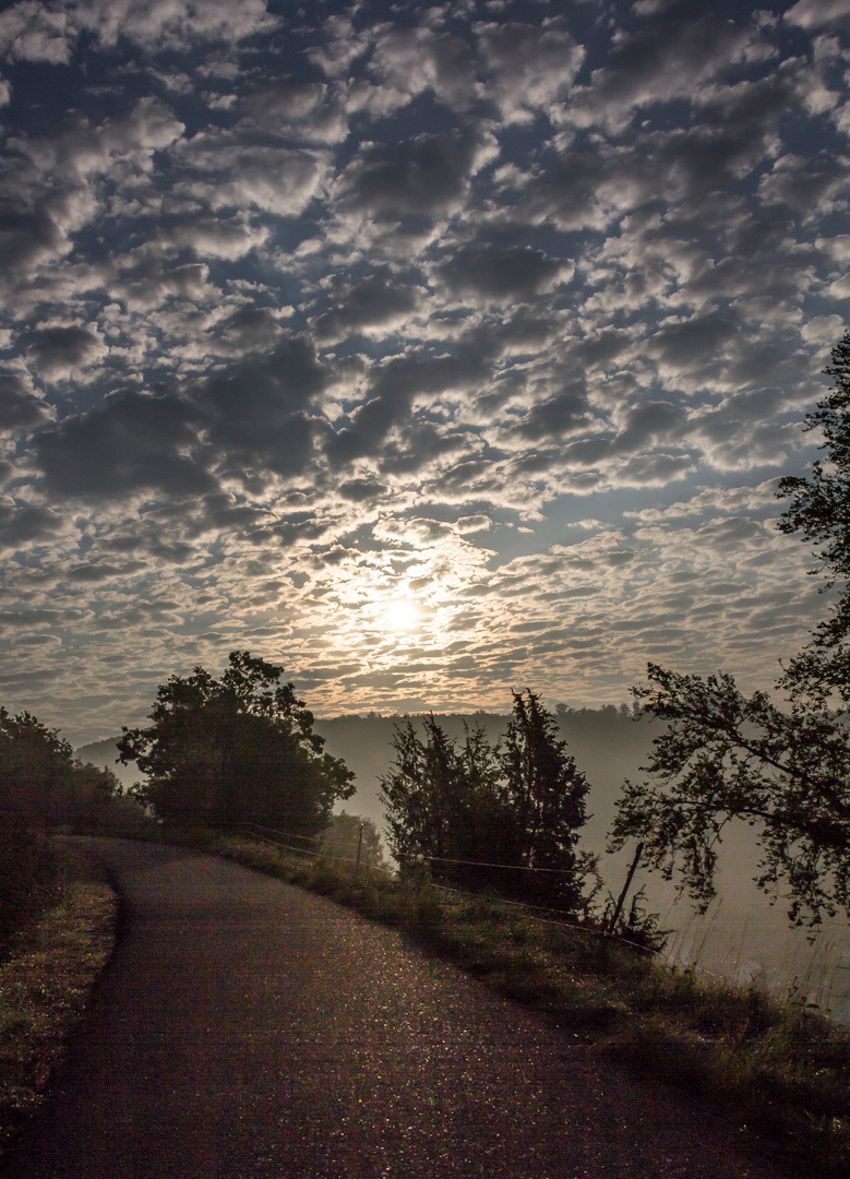 Beim Morgenspaziergang