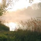 Beim Morgenspaziergang im Schloßpark...