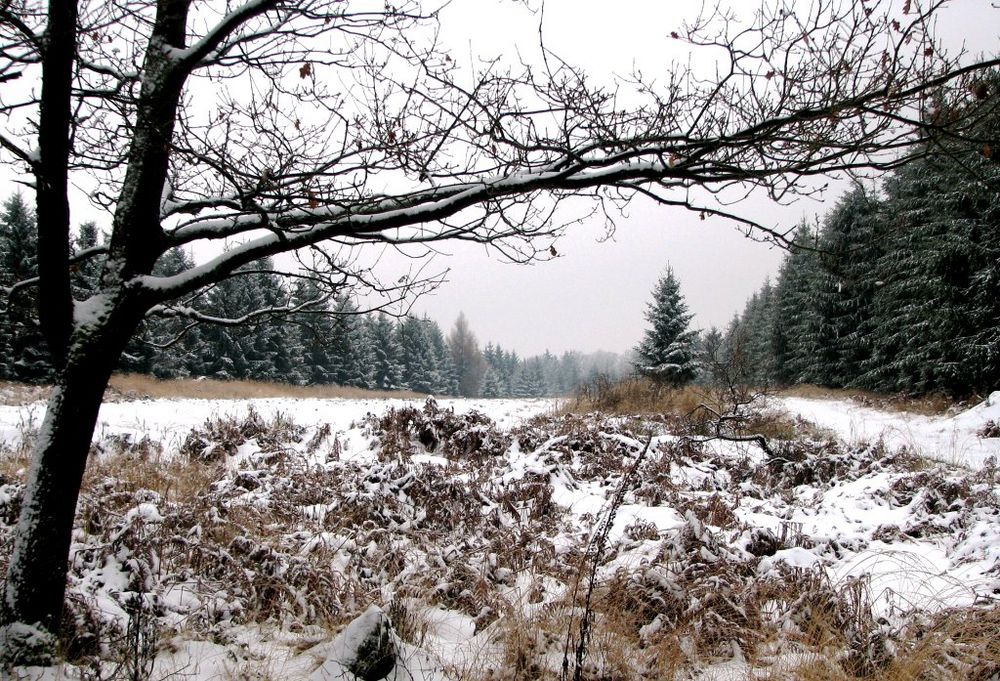 Beim Neujahrsspaziergang